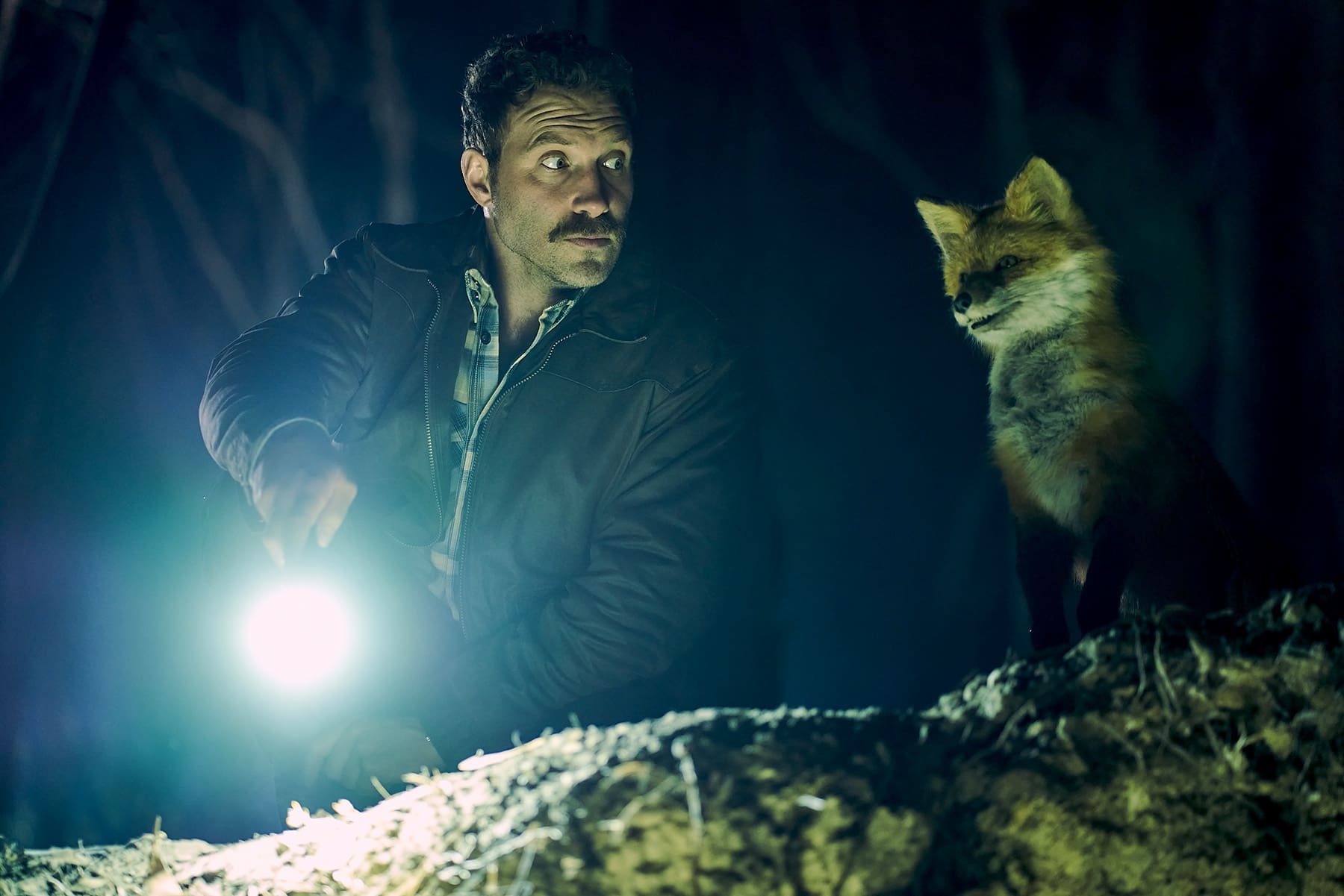 Film Prize Finalist, The Fox