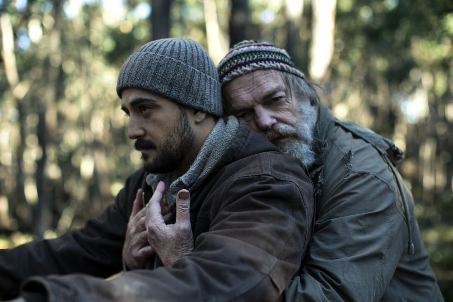 The Rooster Miff@Cinefestoz