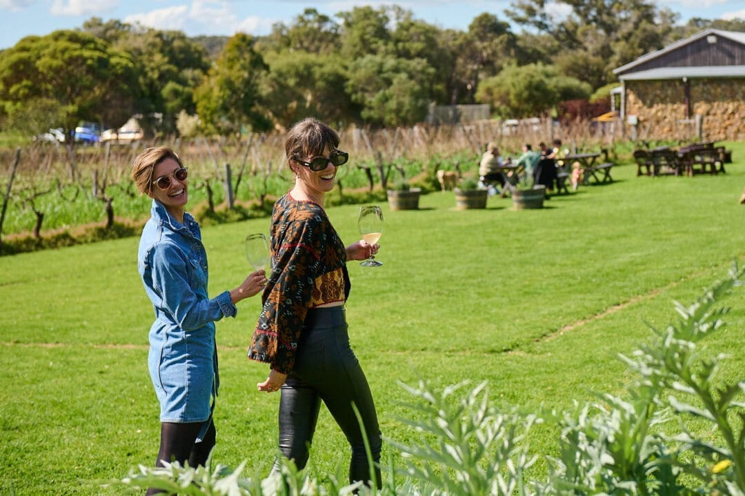 How To Guide For Cinefestoz 8