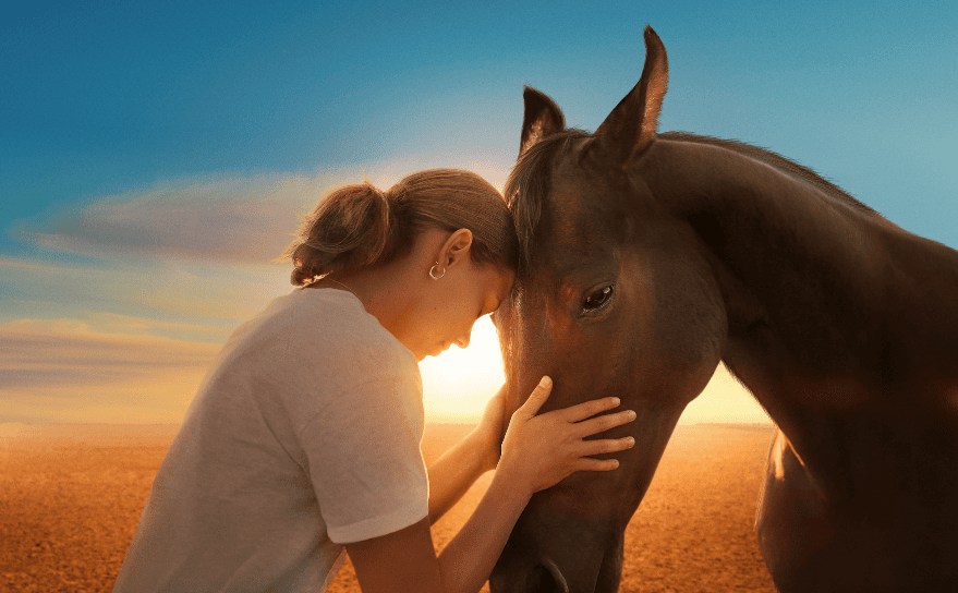 Guided By Horses